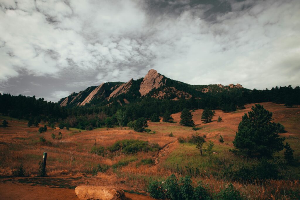 Enjoy afternoon tea in the handcrafted Boulder Dushanbe Teahouse in Colorado