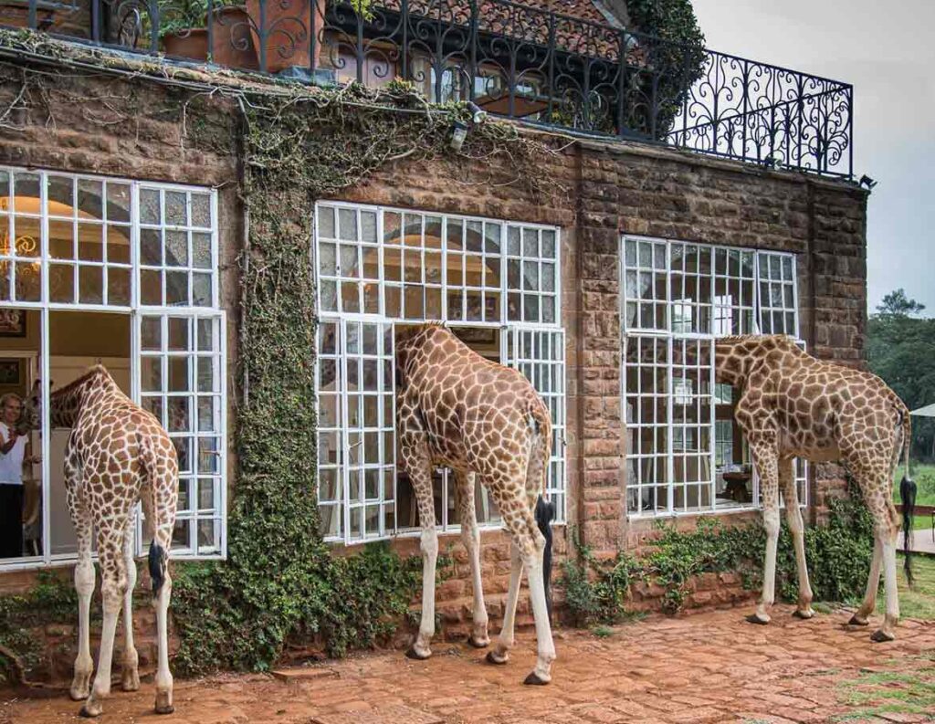 memorable hotel stays Giraffe Manor — Nairobi, Kenya