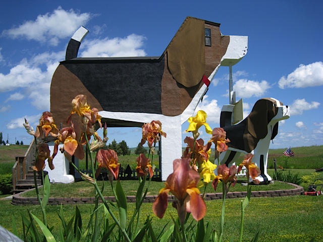 Strange hotel for pet owners Dog Bark Park Inn — Cottonwood, Idaho