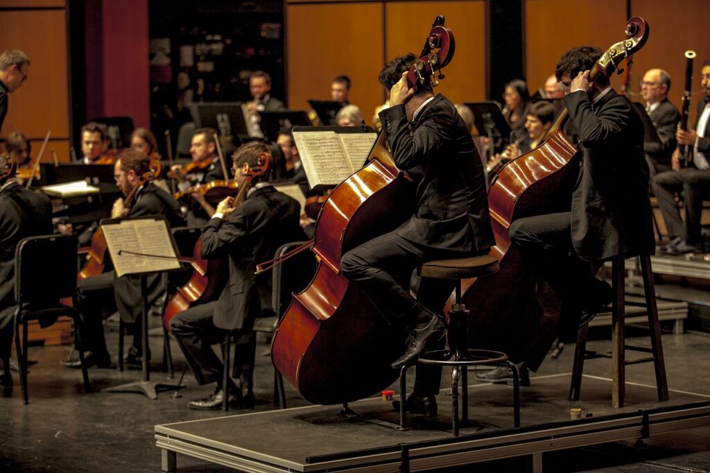 Listen to a classical music concert at  the Vienna State Opera (Wiener Staatsoper) or Viennese Music Association (Musikverein)