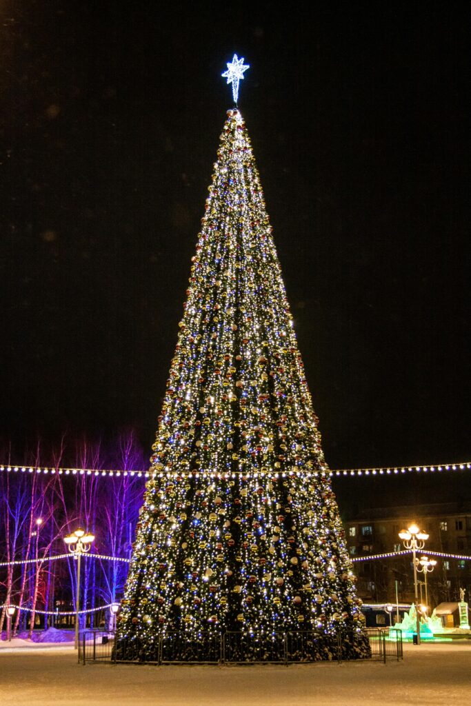 If you travel at Christmastime, be sure to see the creative Christmas trees in Paris and West Palm Beach